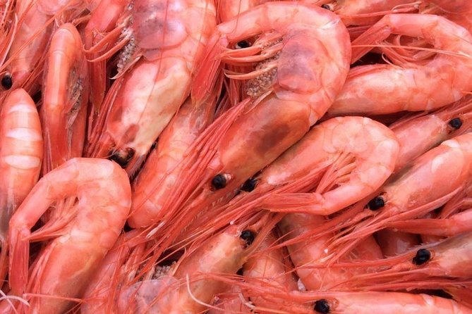 Oslo Fjord Evening Cruise with Shrimp Buffet on a Sailing Ship - The missing commentary