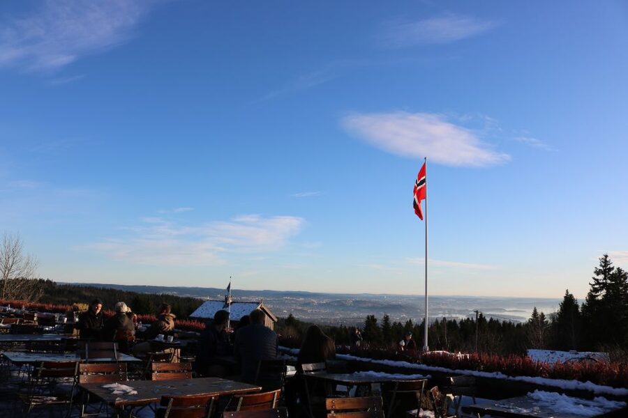 Oslo: Guided Oslo Highlights Tour by bus & Oslofjord cruise - Why Vigeland Sculpture Park earns the longer stop