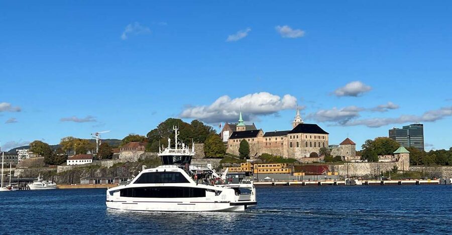 Oslo: Guided Oslo Highlights Tour by bus & Oslofjord cruise - The Oslofjord cruise, with realistic expectations