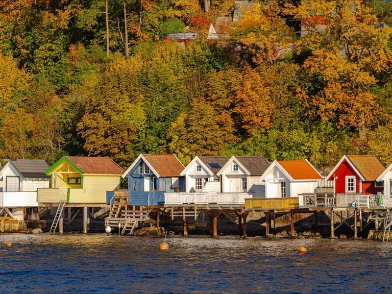 Oslo: Guided Sightseeing Fjord Cruise on Premium Silent Boat - Why this Oslofjord cruise works so well