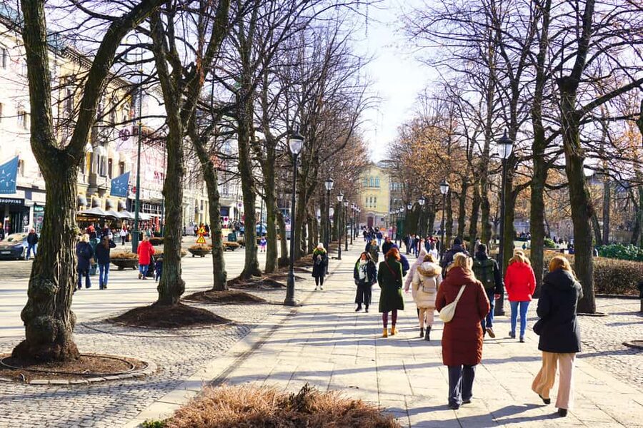 Oslo: History, Art and Secrets Tour - Karl Johans Street and the route through central Oslo