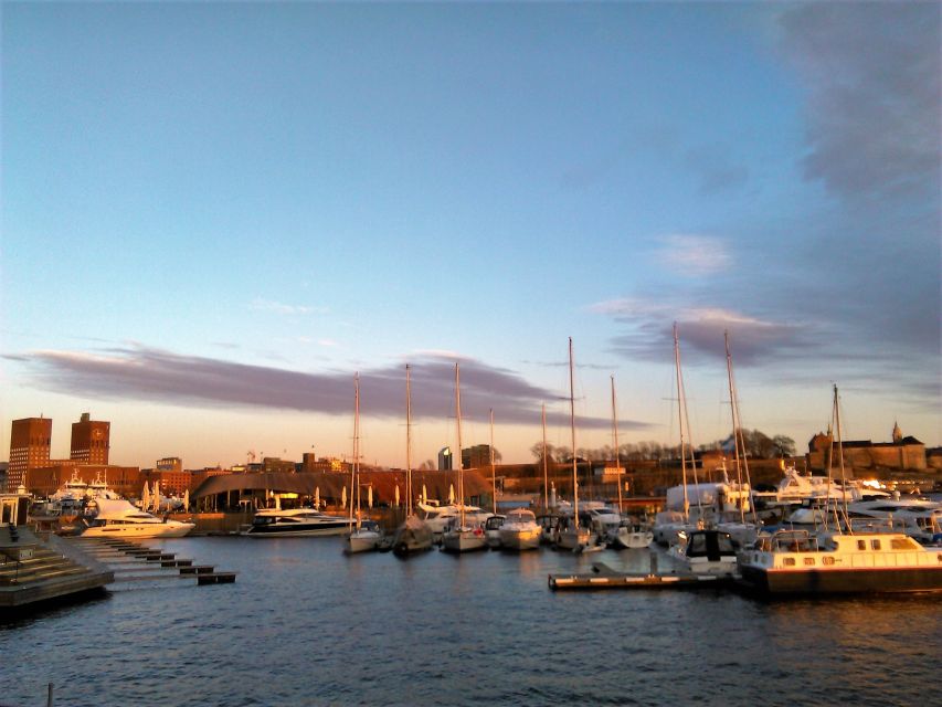 Oslo Nature Walks: Island Hopping Tour - Key points to know before you go