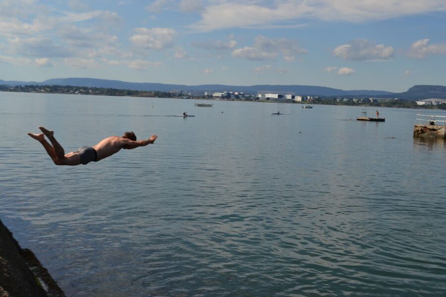 Oslo Nature Walks: Island Hopping Tour - Picnic time with fjord views