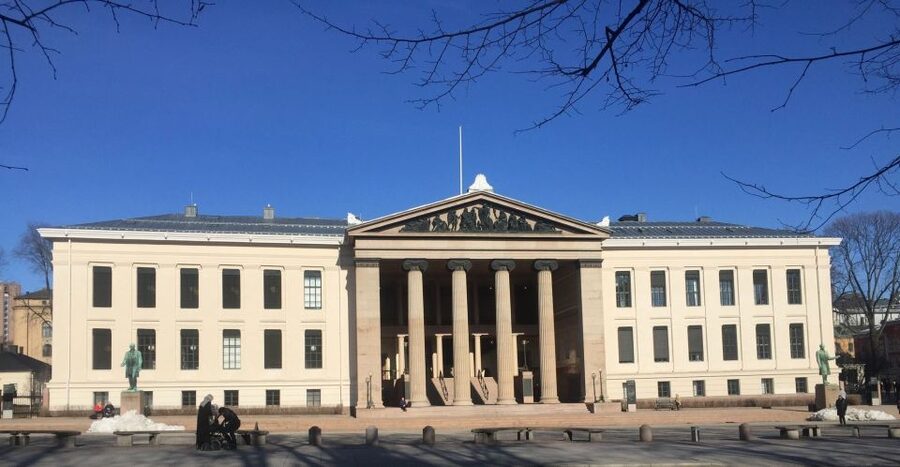 Oslo: Panoramic View and Sculpture Park Walk - Why the private vehicle matters