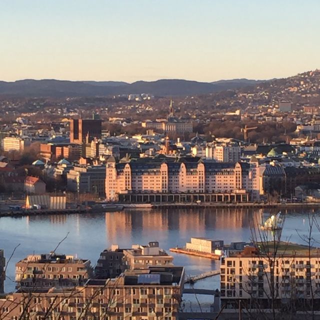 Oslo: Panoramic View and Sculpture Park Walk - The guide can shape the whole experience