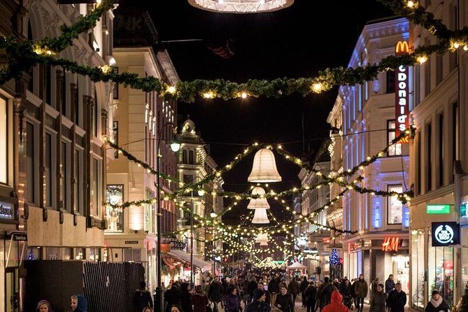 Oslo: Private VIP City Tour by Luxury Minivan with Driver & Guide - The value of a $506.99 private tour
