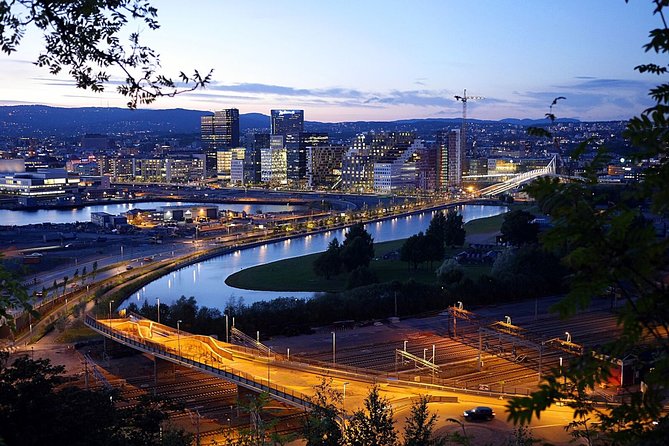 Oslo: Private VIP City Tour by Luxury Minivan with Driver & Guide - What the guide can add to the day