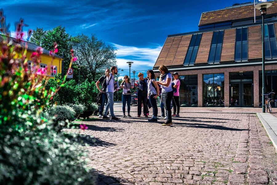 Oslo: Private Walking Tour - Oslo in two hours, from the fjord to the Opera House