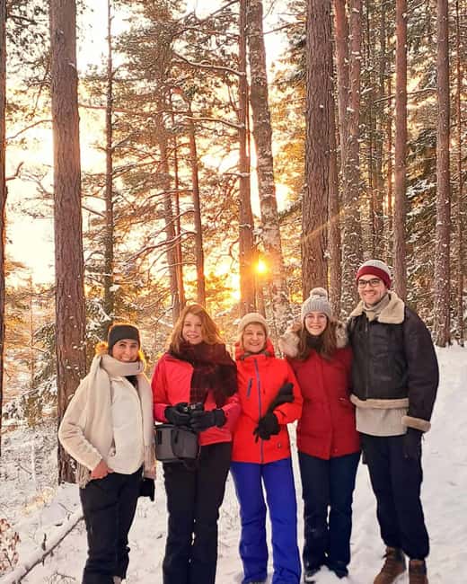 Oslo: Scenic Forest Hike with Dog & Local Guide - The first climb to a 153-meter viewpoint