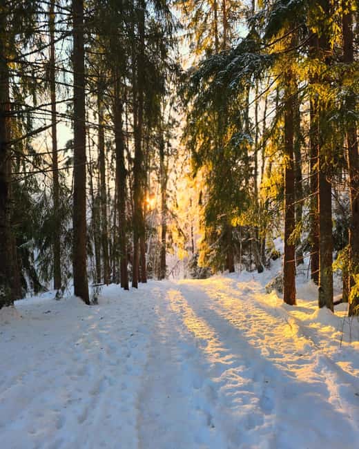 Oslo: Scenic Forest Hike with Dog & Local Guide - What changes in winter