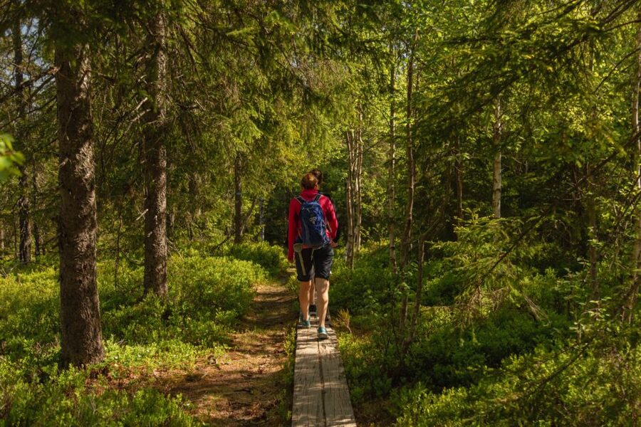 Oslo: Skjennungstoppen Wildlife Forest Hiking Tour - Oslo’s geographic center in the forest