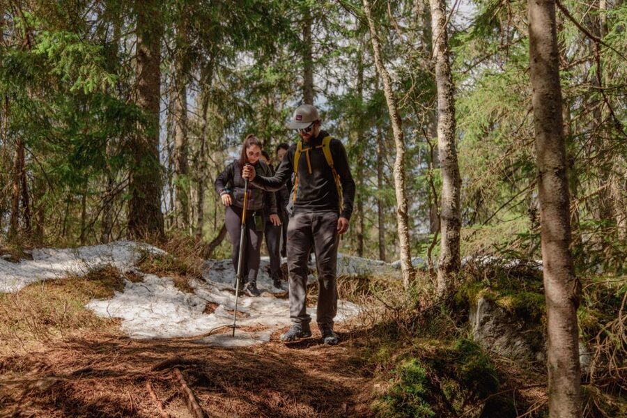 Oslo: Skjennungstoppen Wildlife Forest Hiking Tour - Walking through Nordmarka for five hours