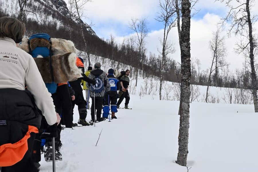 Oslo: Snowshoeing in the Forest with Norwegian BBQ - The quiet appeal of Oslo Forest
