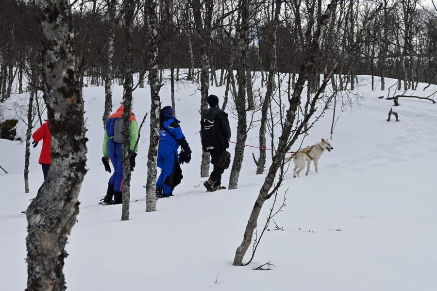 Oslo: Snowshoeing in the Forest with Norwegian BBQ - Finding your rhythm on snowshoes