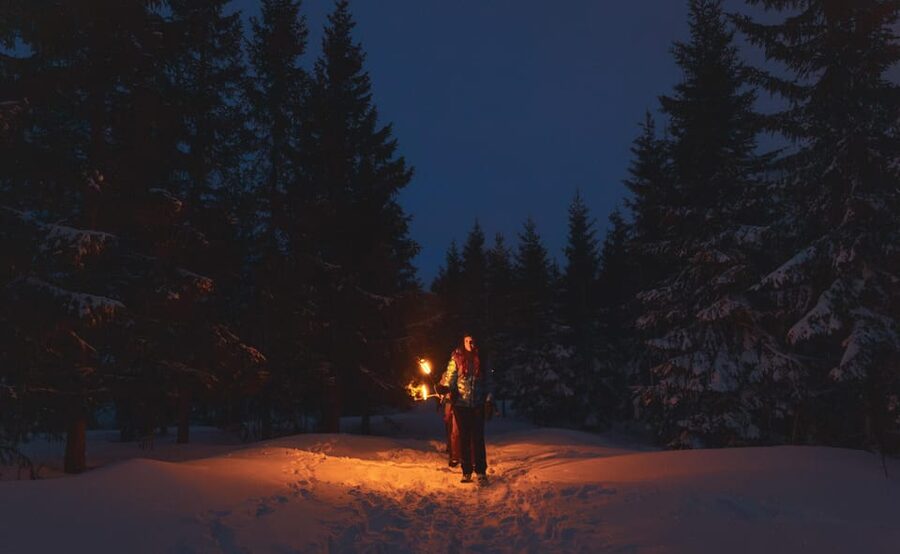 Oslo: Snowy Forest Torchlight Walk with Campfire - Key points to know before booking