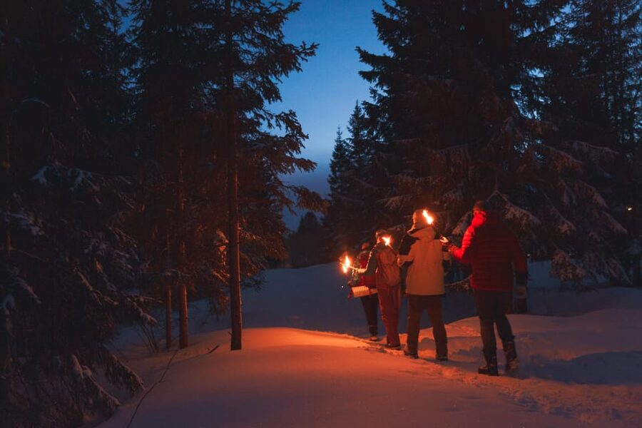 Oslo: Snowy Forest Torchlight Walk with Campfire - A campfire beside Øvresetertjern Lake