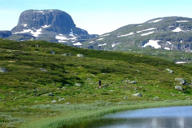 Oslo To Sognefjord Private Full Day Roundtrip Including Flam Railway - Flåm and the famous railway climb
