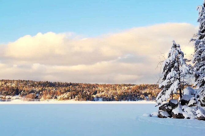 Oslo: Winter wonderland forest hike & campfire with a dog - What makes this Oslo forest walk worth your time