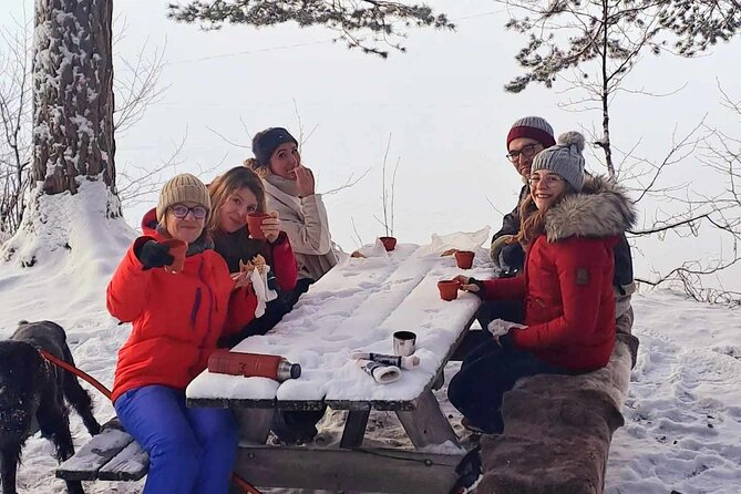 Oslo: Winter wonderland forest hike & campfire with a dog - Finishing through the forest at Solbråtan