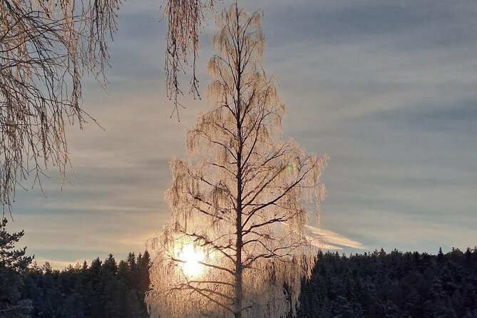 Oslo: Winter wonderland forest hike & campfire with a dog - Winter conditions, swimming, and what to pack