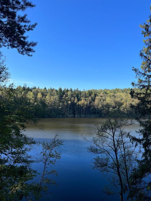 Oslo: Yoga & Hiking with a dog - A 2.5-hour walk through Oslo’s nearby nature
