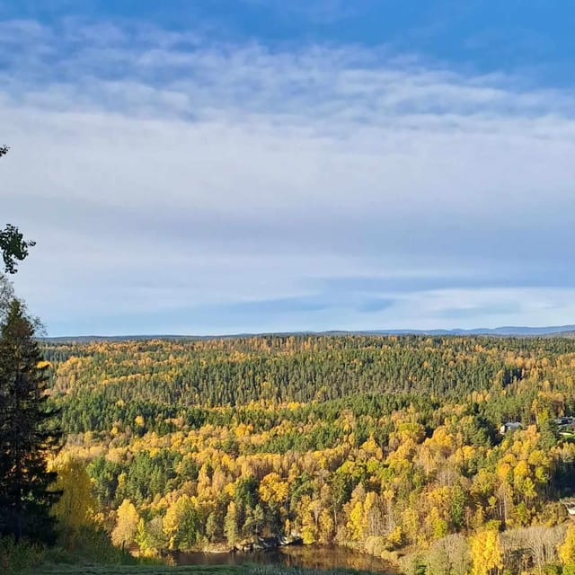 Oslo: Yoga & Hiking with a dog - Lakeside Vinyasa from 7:30 to 9:00