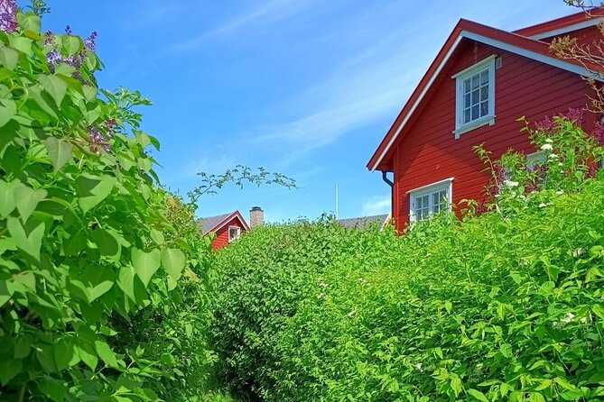 Oslofjord Island Hopping Tour - Key things to know before you book