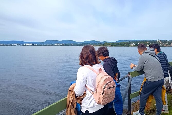 Oslofjord Island Hopping Tour - Nakholmen and Oslo’s cabin culture
