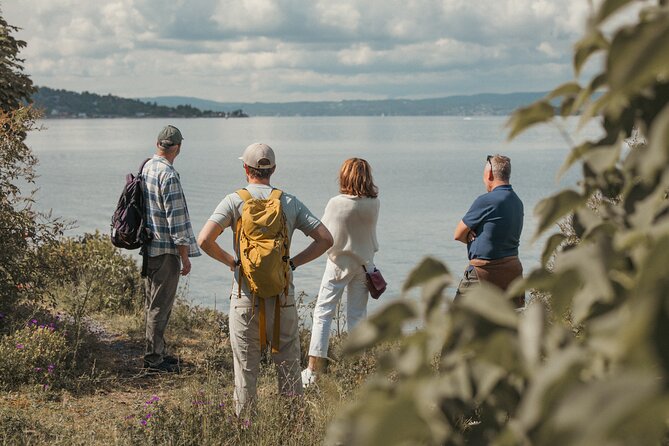 Oslofjord Island Hopping Tour - The return cruise through the fjord