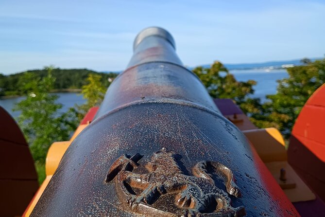 Oslofjord Island Hopping Tour - Who will enjoy this outing most?
