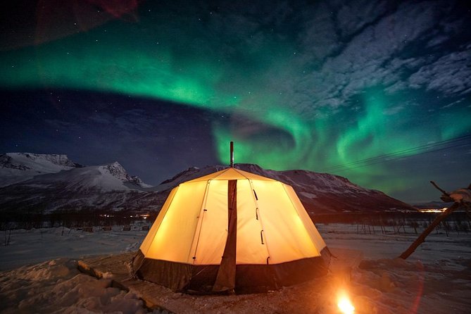 Overnight Stay with Reindeer Sledding & Feeding - From Tromsø to a Quiet Camp on Kvaløya