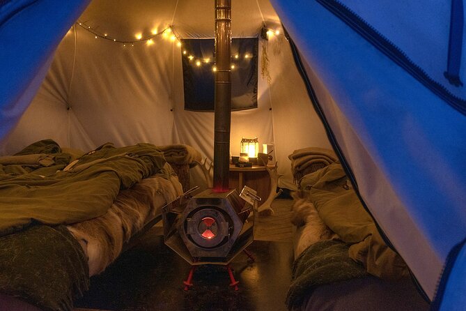 Overnight Stay with Reindeer Sledding & Feeding - Waiting for the Northern Lights