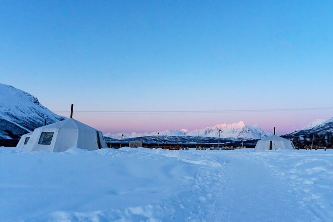 Overnight Stay with Reindeer Sledding & Feeding - Sami Food and Stories Around the Fire