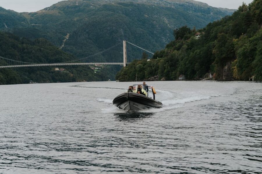 Øystese: Hardangerfjord RIB safari to the Fyksesund branch - Key points to know before you book