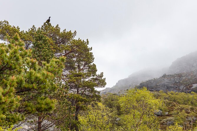 Preikestolen Hidden Trail Hike + Lunch and Canoe Trip - The descent takes about 2.5 hours