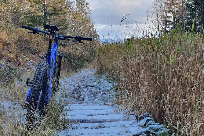 Premium eBike rental - Longer possibilities beyond a one-day rental