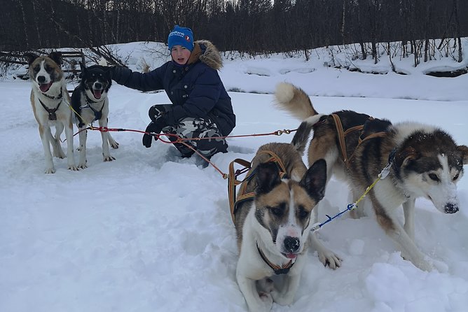 Privat sled trip with husky in the alta valley - Why this private Alta husky trip feels different