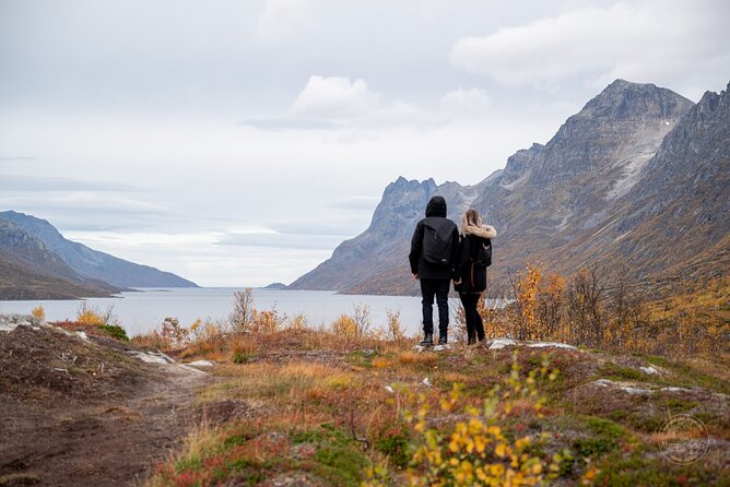 Private Arctic Fjord Roadtrip with Scenic Picnic from Tromso - Key points at a glance