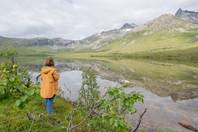 Private Arctic Fjord Roadtrip with Scenic Picnic from Tromso - Sommarøy and Ersfjordbotn add coastal variety