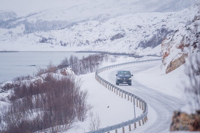 Private Arctic Fjord Roadtrip with Scenic Picnic from Tromso - Timing, weather, and booking cautions