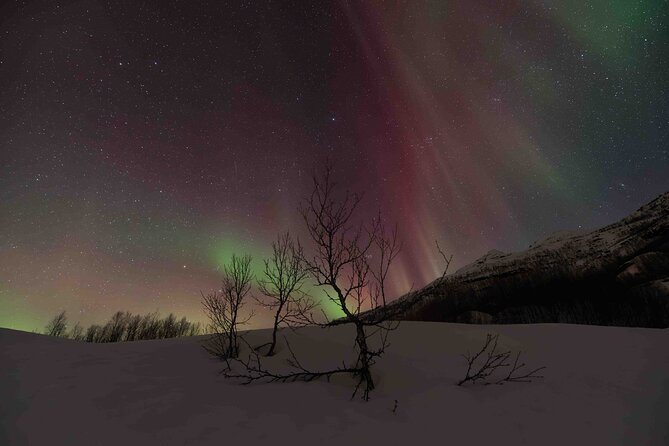 Private Aurora Hunting with Professional Photographer from Alta - Why this Alta Aurora hunt feels different