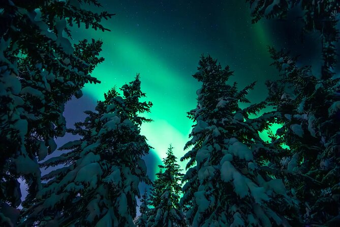 Private Aurora Hunting with Professional Photographer from Alta - The weather check decides the route