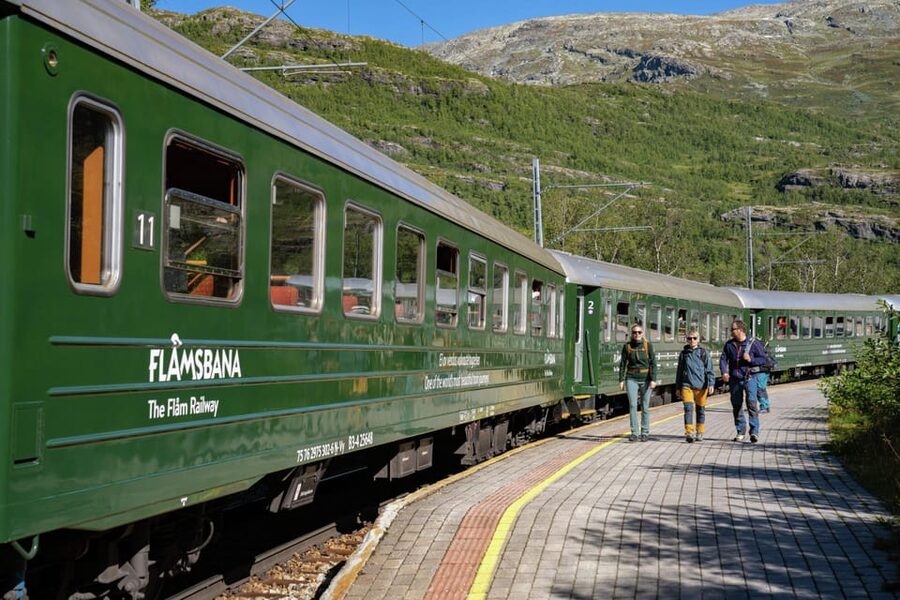 Private Day Tour- Flam Railway & Fjord Cruise From Bergen - Cruising the Nærøyfjord from Flåm