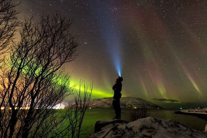 Private & Exclusive Northern Lights Tour with Professional guide - A private group of up to six