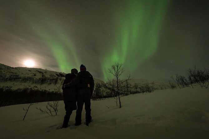 Private & Exclusive Northern Lights Tour with Professional guide - What happens during the six-hour search