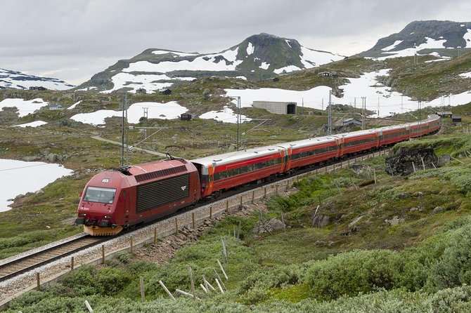 Private guided, Bergen to Oslo - Nærøyfjord Cruise & Flåm Railway - Njardarheimr brings the Viking Age to Gudvangen