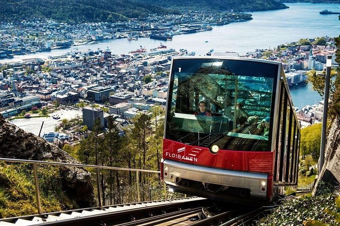 Private Guided City Sightseeing - Bergens Top Attractions - Bryggen’s Wooden Wharf