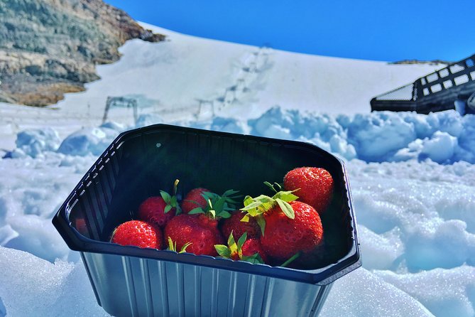 PRIVATE GUIDED TOUR: Folgefonna Glacier roundtrip from Bergen, 8 hours - Is the $647.06 price fair?