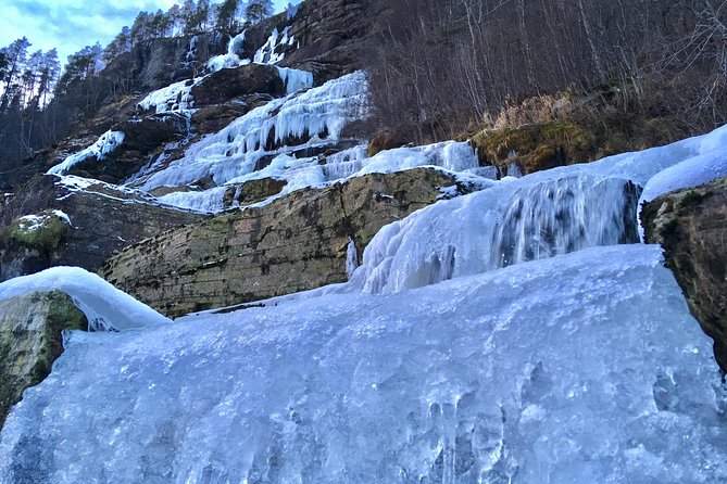 PRIVATE GUIDED TOUR: Highlights of Norway – Trip to the Sognefjord – WINTER - Flåm, lunch, and the famous railway