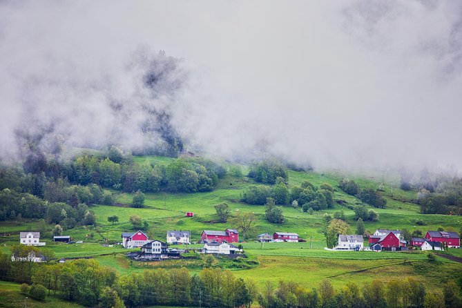 PRIVATE GUIDED TOUR: Norway's Highlights – Viking Special, 11-12 hours – WINTER - Choosing your Nærøyfjord experience